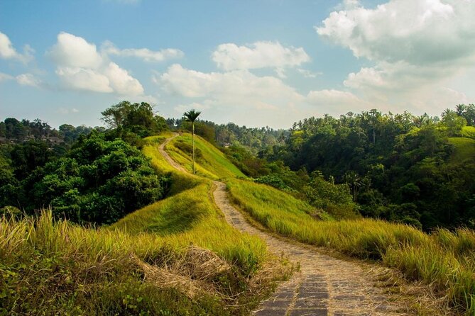 Tegalalang Rice Terrace