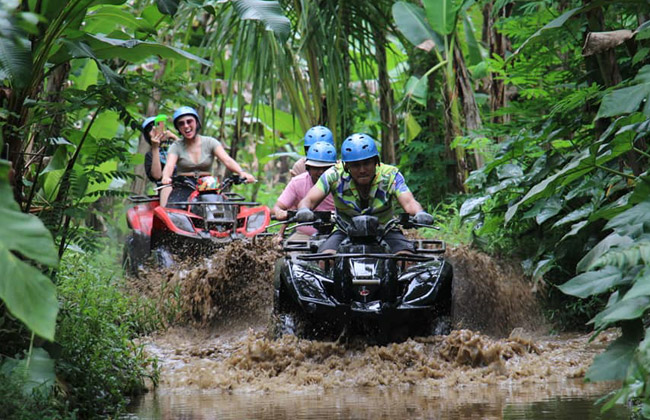 Activity 2