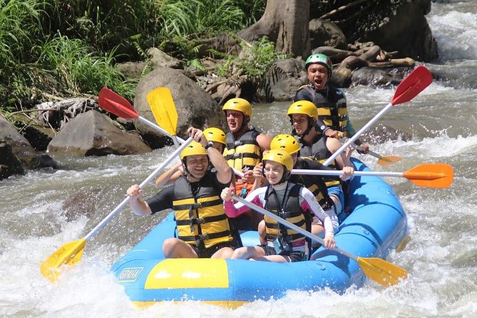 Activity 1