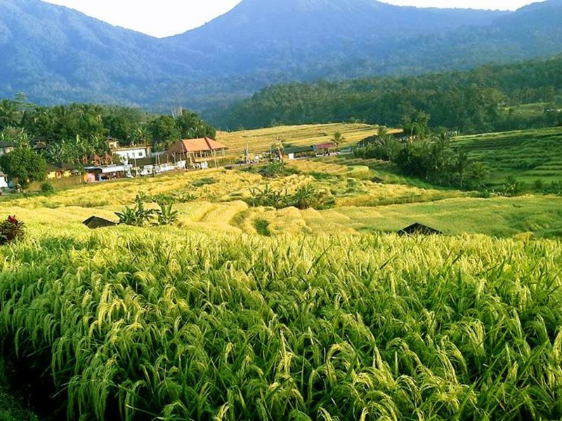 Batur View Spot