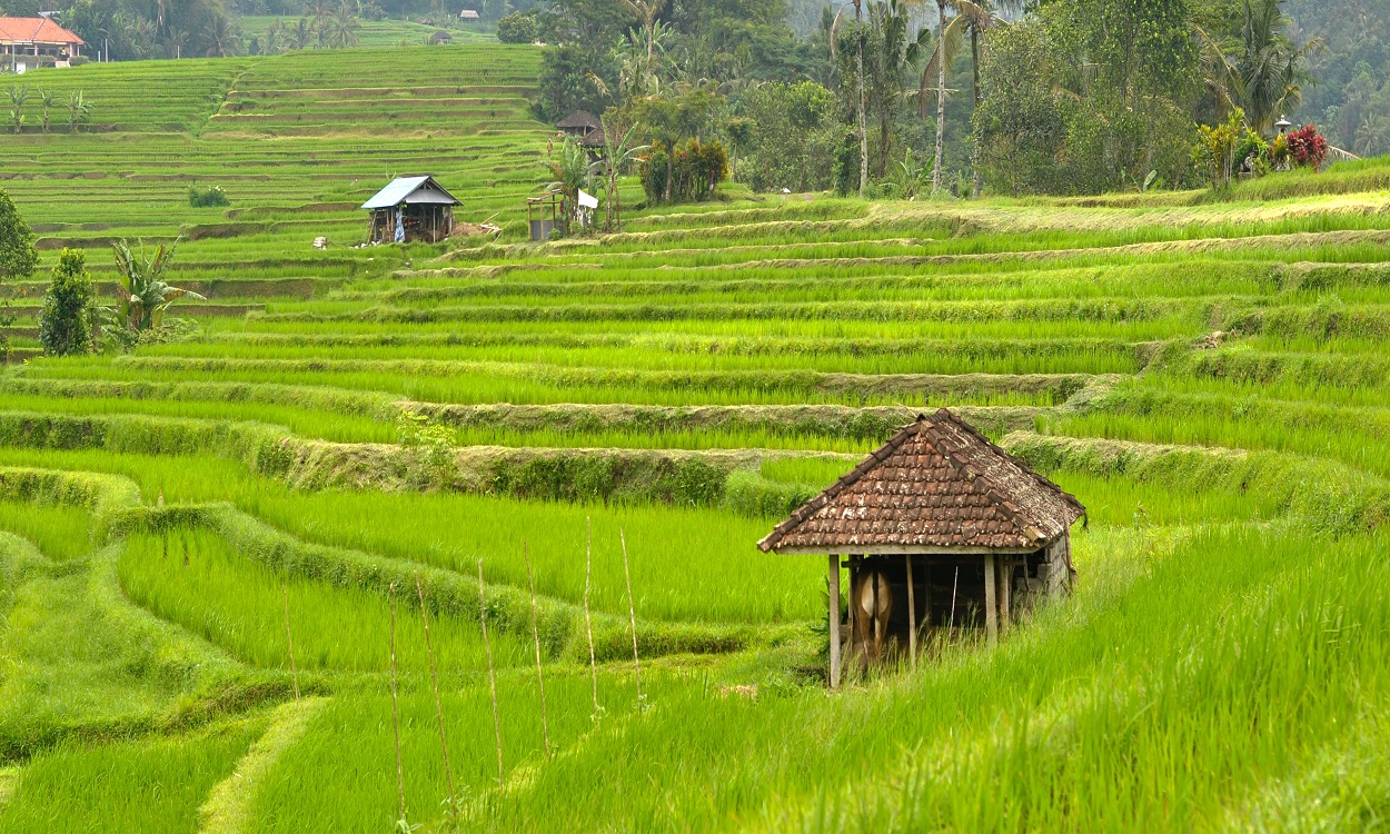 Ubud Palace