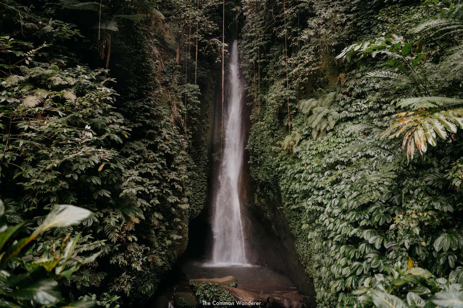 Ubud Palace