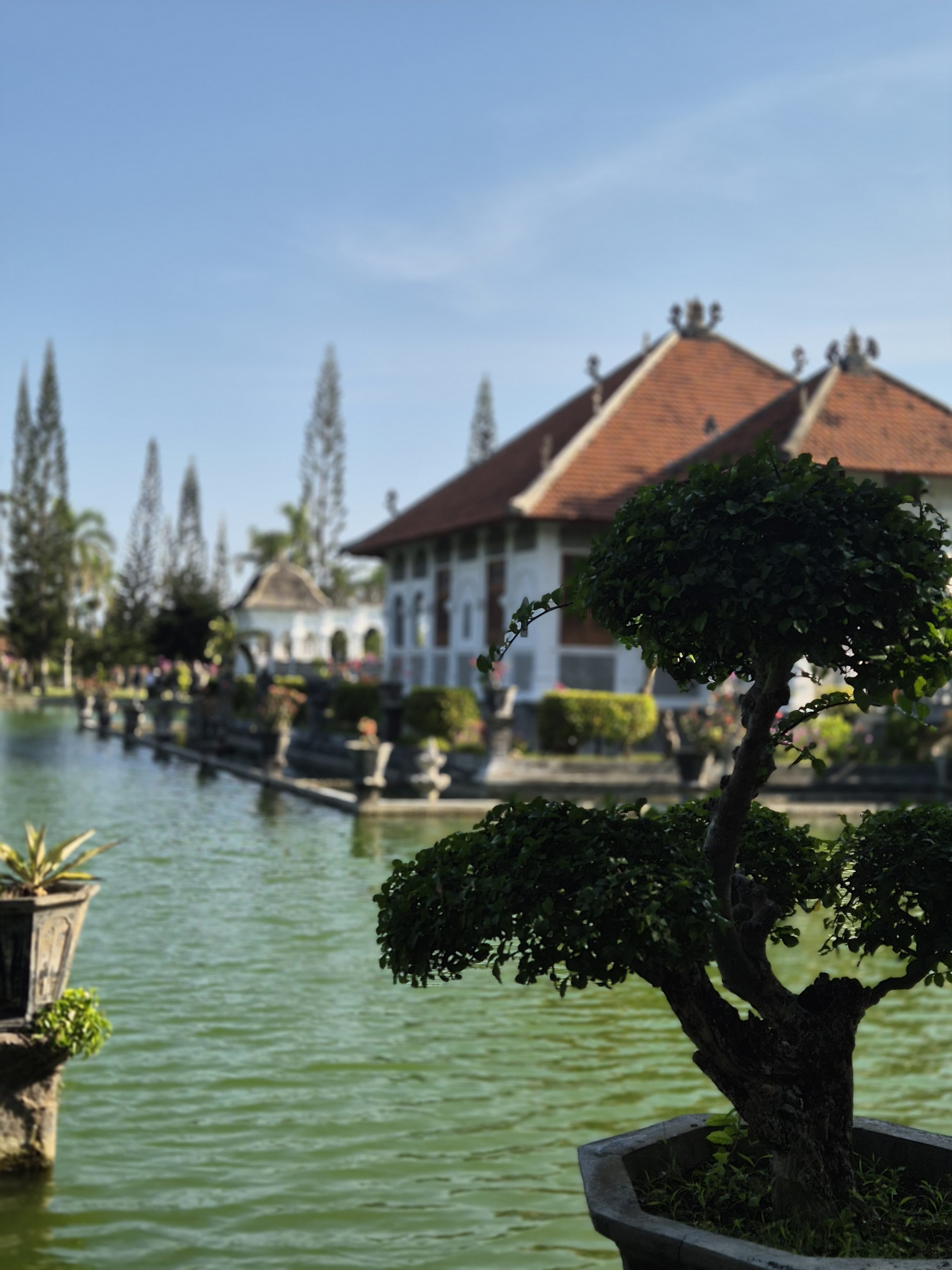 Hot Spring with Lake View