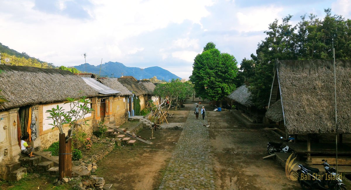 Tegalalang Rice Terrace