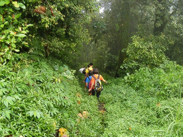 ATV Offroad